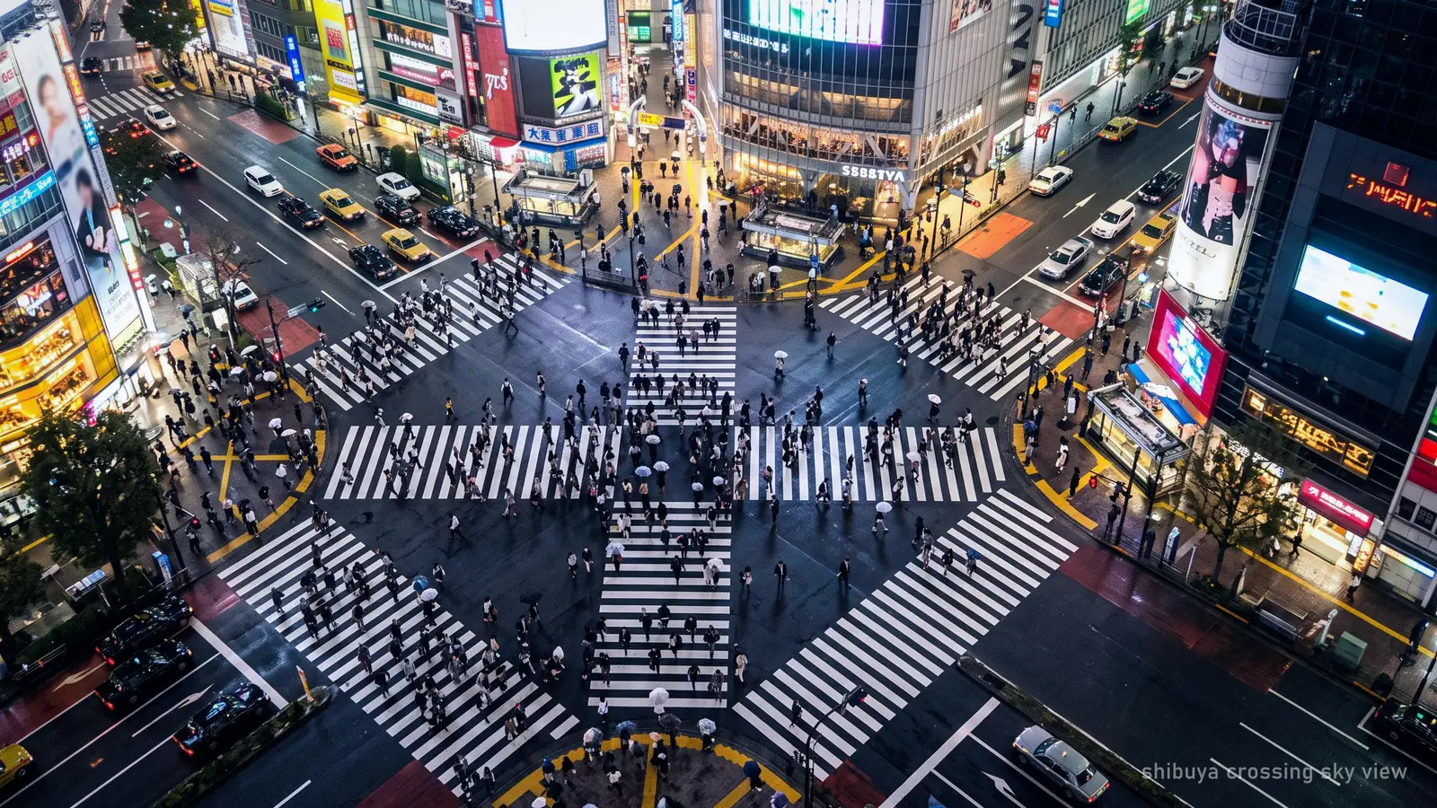 Shibuya's scramble crossing from directly overhead at night, mid-crossing in every direction