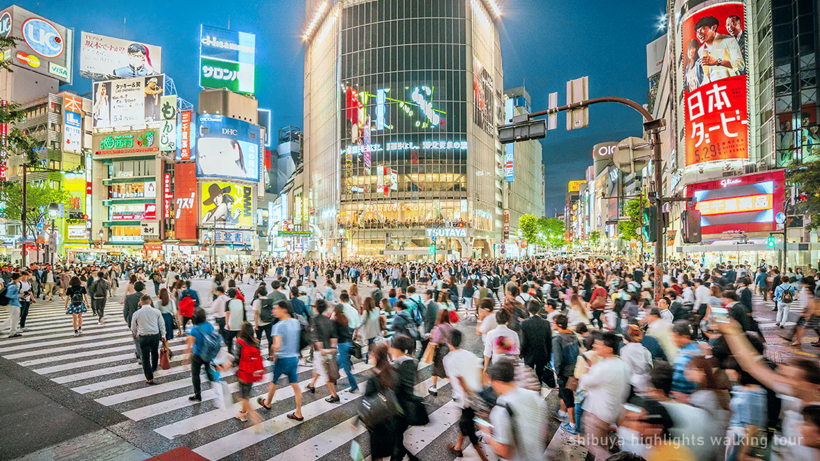 Tokyo: Shibuya Highlights Walking Tour & Secret View Spot — photo from the booking listing, Shibuya Sky, Tokyo