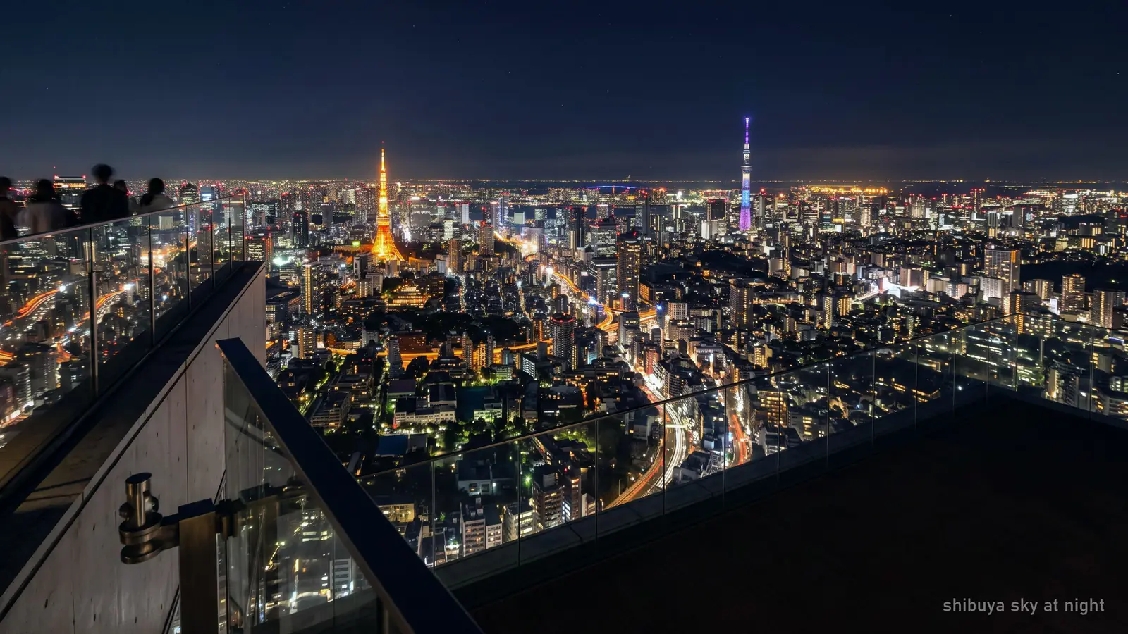 Tokyo after dark from a high open rooftop, city lights unbroken to the horizon