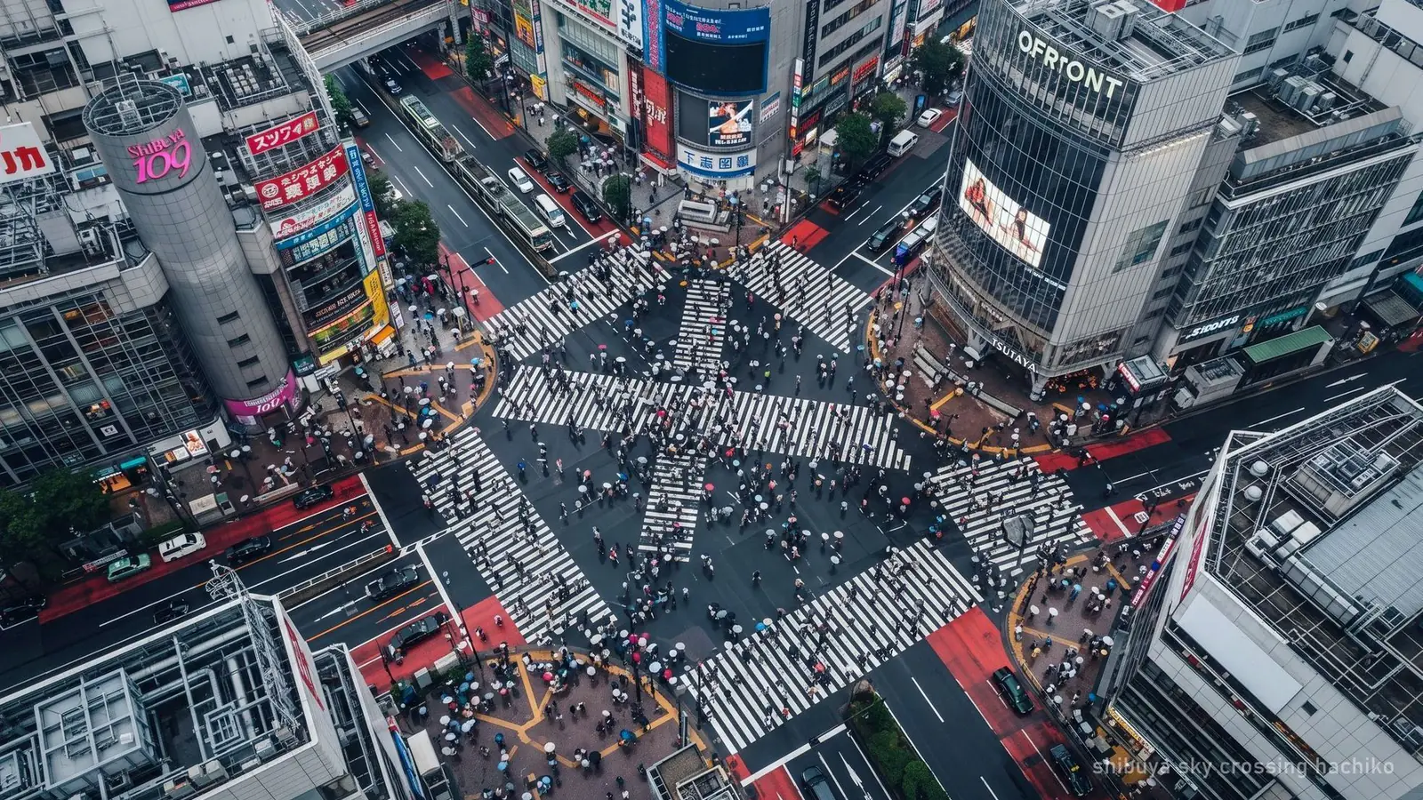 Tokyo: Shibuya Sky, Crossing & Hachiko Guided Tour — photo from the booking listing, Shibuya Sky, Tokyo