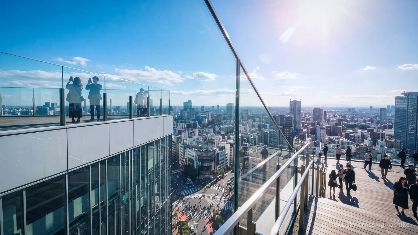 Tokyo: Shibuya Sky, Crossing & Hachiko Guided Tour — photo from the booking listing, Shibuya Sky, Tokyo