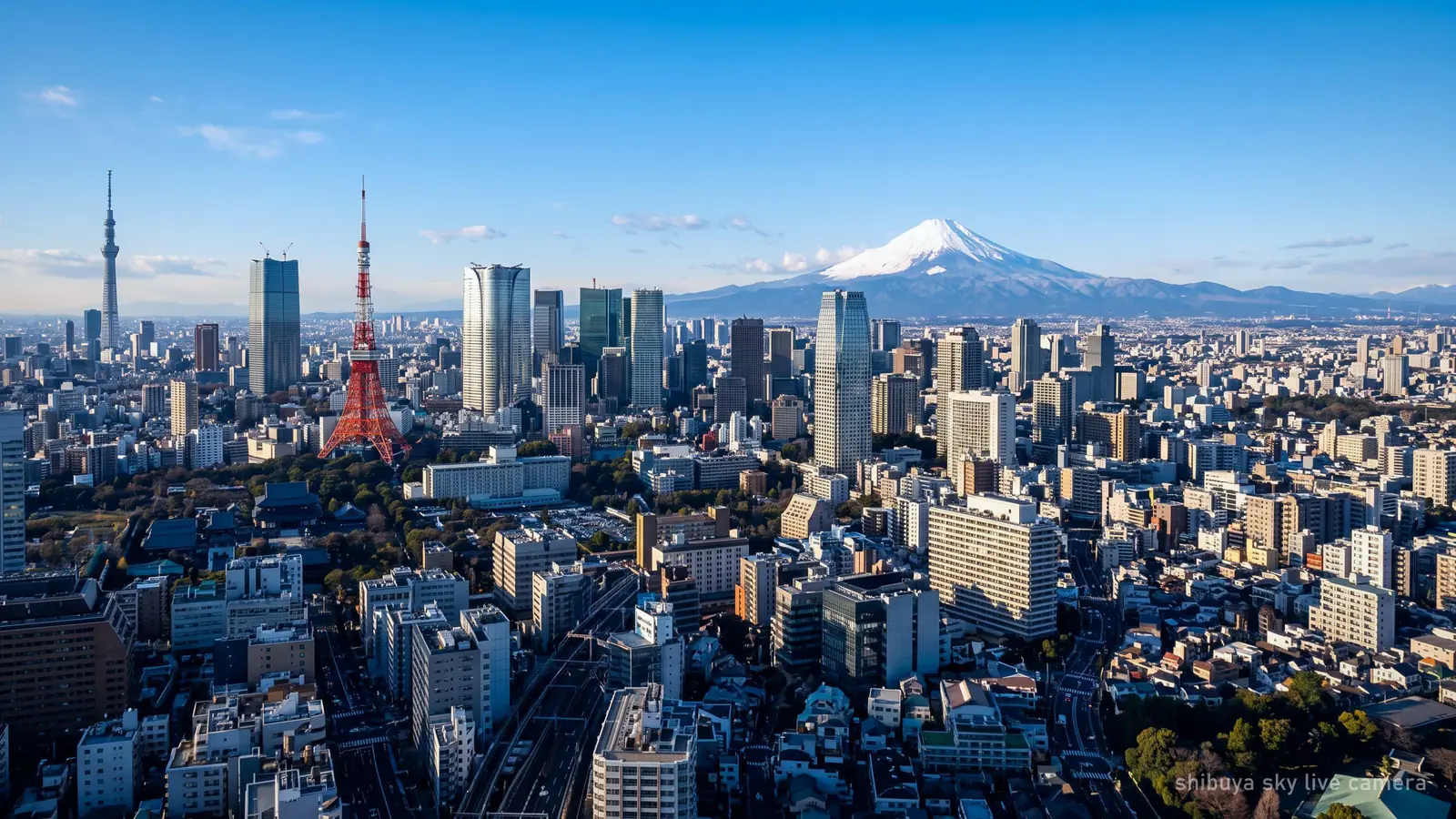 Mount Fuji's snow-capped cone on a clear winter horizon beyond the Tokyo skyline
