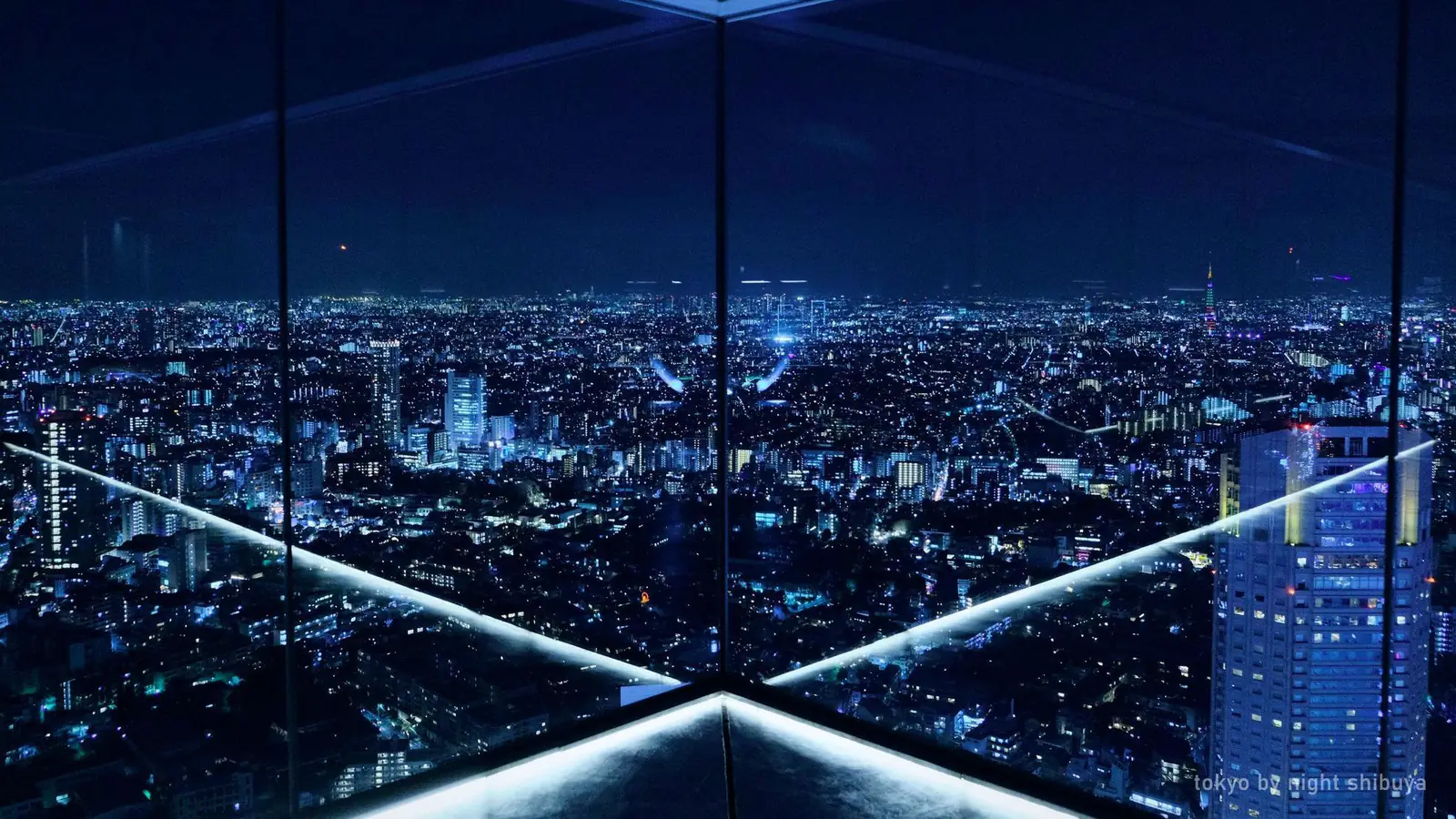 Tokyo by Night: Shibuya Sky Views & Shinjuku Neon — photo from the booking listing, Shibuya Sky, Tokyo