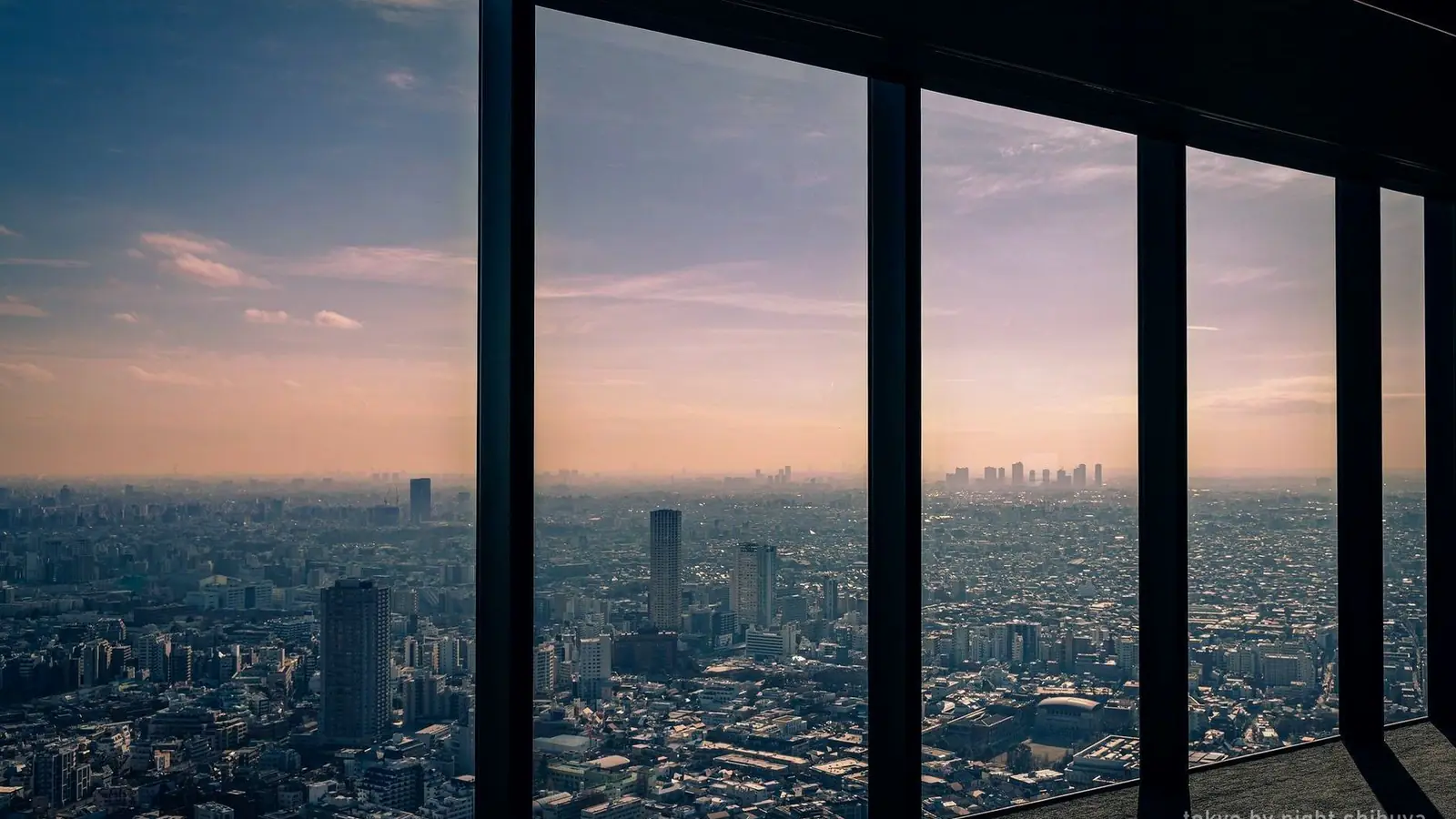 Tokyo by Night: Shibuya Sky Views & Shinjuku Neon — photo from the booking listing, Shibuya Sky, Tokyo