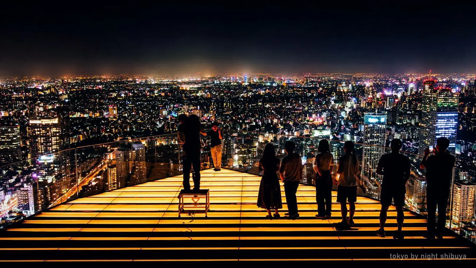 Tokyo by Night: Shibuya Sky Views & Shinjuku Neon — photo from the booking listing, Shibuya Sky, Tokyo