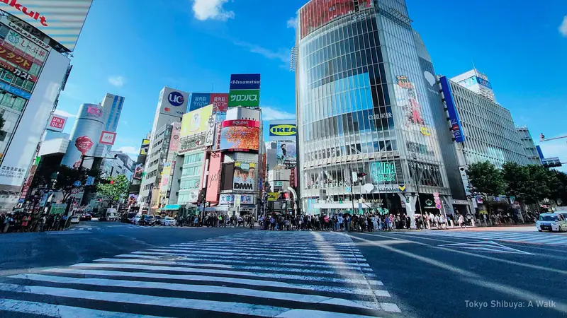 Tokyo: Shibuya Highlights Walking Tour & Secret View Spot — photo from the booking listing, Shibuya Sky, Tokyo