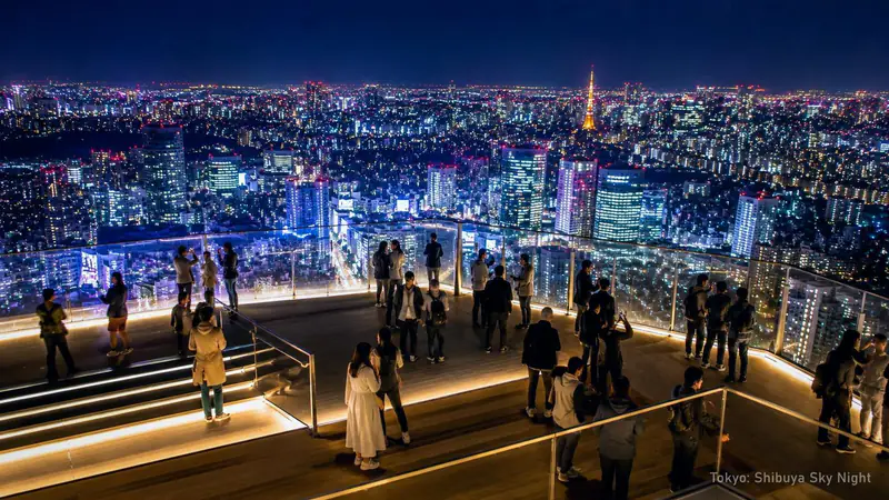Tokyo by Night: Shibuya Sky Views & Shinjuku Neon — photo from the booking listing, Shibuya Sky, Tokyo