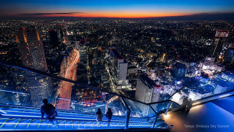 Tokyo by Night: Shibuya Sky Views & Shinjuku Neon — photo from the booking listing, Shibuya Sky, Tokyo