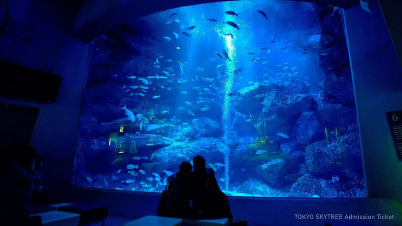 TOKYO SKYTREE Admission Ticket — photo from the booking listing, Shibuya Sky, Tokyo