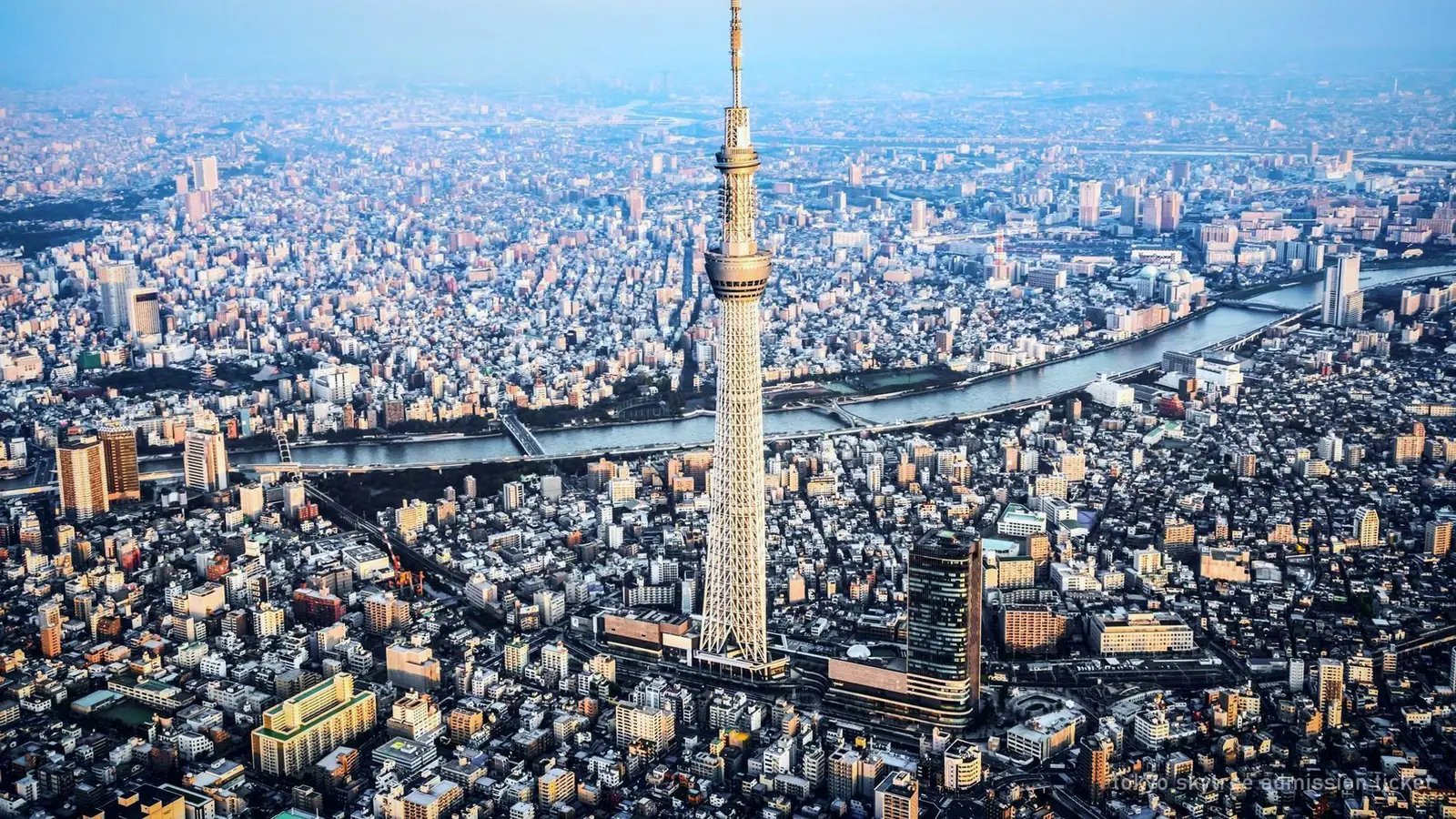 TOKYO SKYTREE Admission Ticket — photo from the booking listing, Shibuya Sky, Tokyo